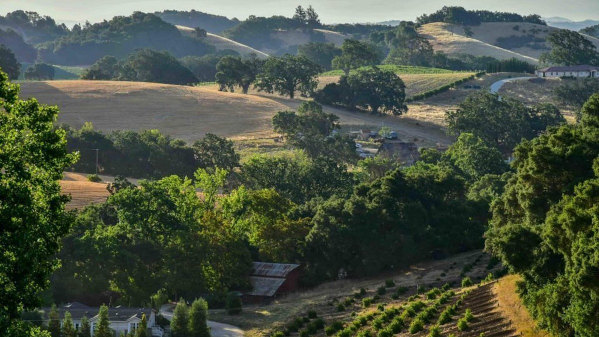 Paso Robles House | Orchard Hill Farm-Elegant Comfort in Desirable West Side Paso Robles!