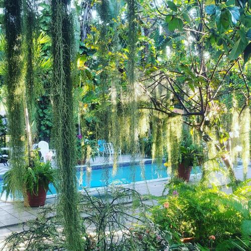 Norbrook House | Orchid Cottage