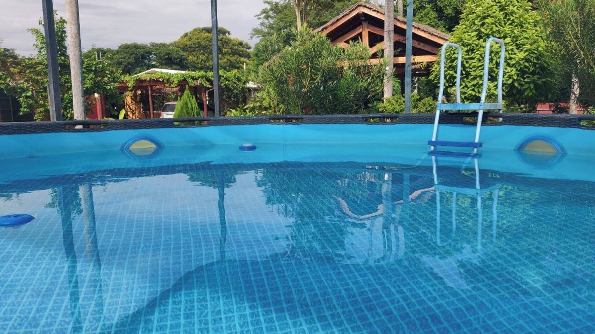 Nemby House | Orchid House: A Comfortable Family Retreat in a Serene Setting