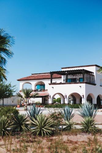 La Paz Hotel | Orchid House Baja