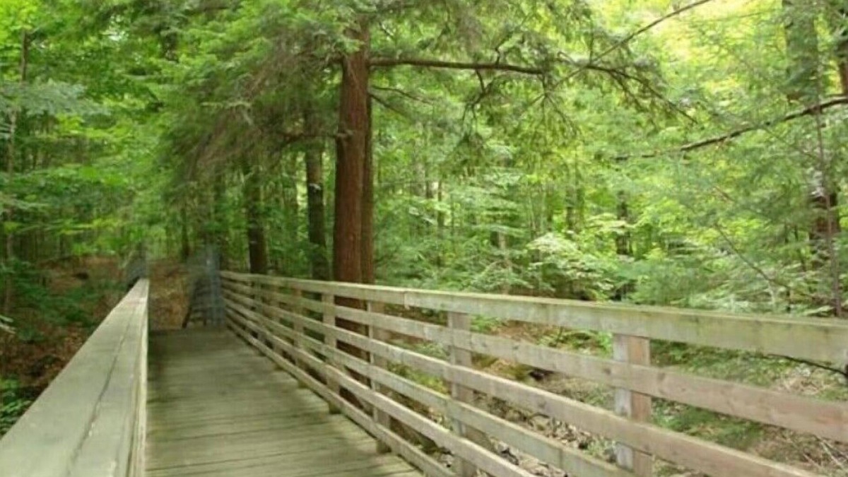 Orford Condo | Orford Mountain Escape seasonal inquiries welcome