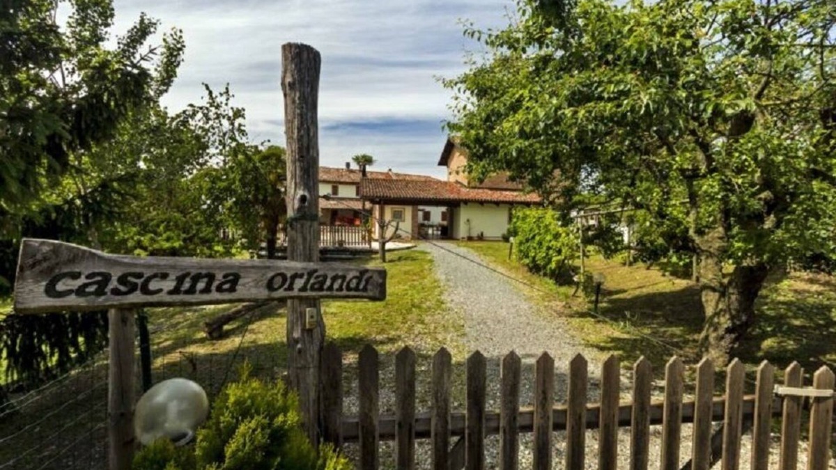 Costigliole d'Asti House | Orlandi Farmhouse - Accommodation Arneis