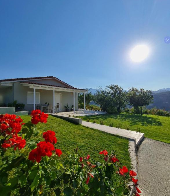 Dhafnes Villa | Ornament: Infinite Nature Villa
