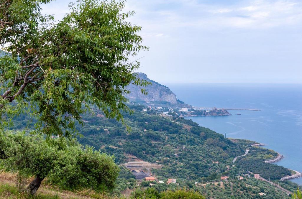 Cefalu Villa | Orto Degli Ulivi