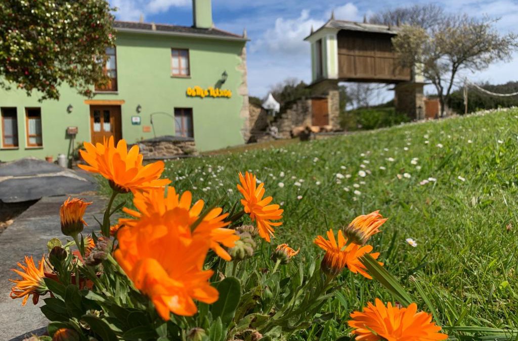 Foz House | Os Tres Teixos