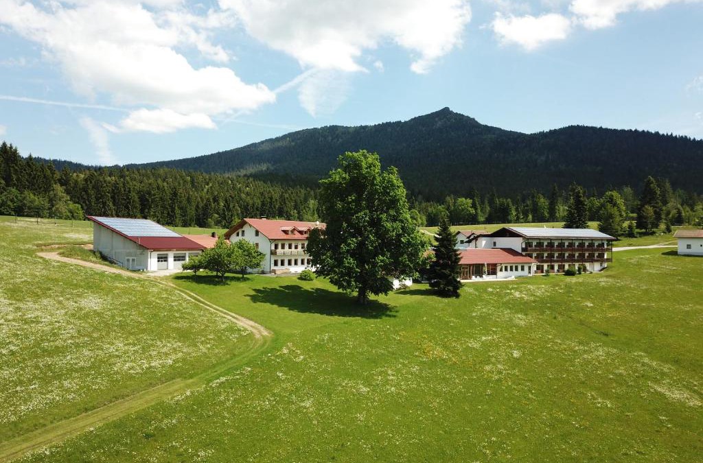 Lohberg Hotel | Osserhotel - B&B am Osser