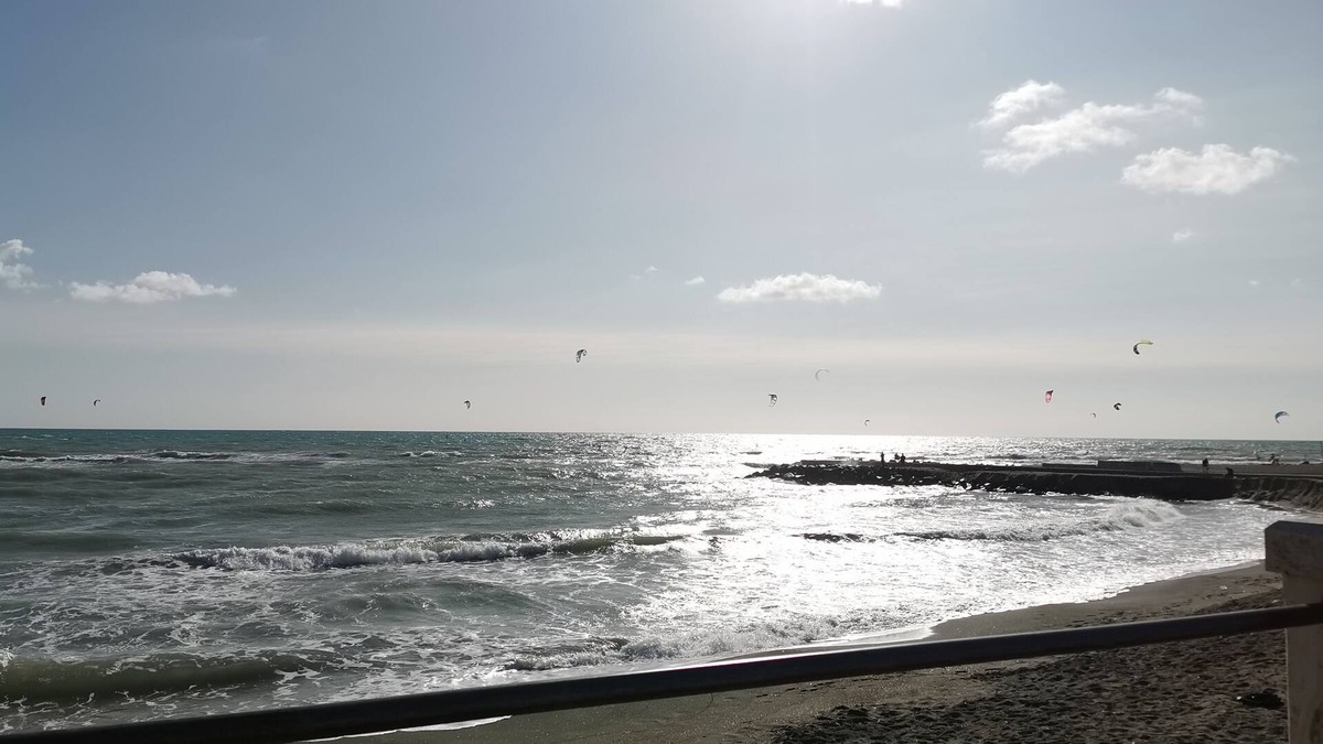Quartiere XXXV Lido di Castel Fusano Apartment | Ostia, apartment with garden sea front