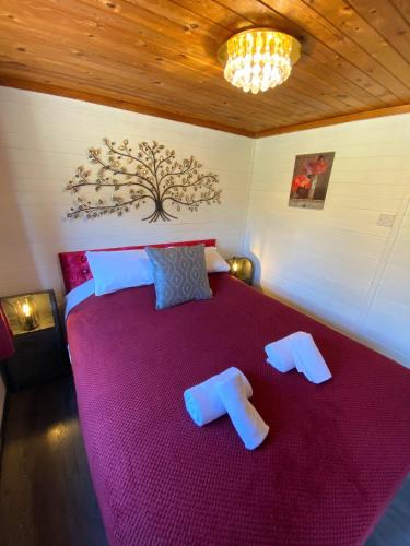 Warminster House | Otter 2 HuntersMoon- Warminster-Wiltshire-Bristol