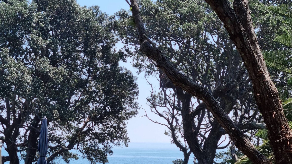 Te Kaha Ski Chalet | Our Coastal Hideaway