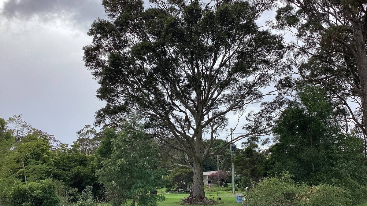 Kianga Apartment | Our Narooma Honeyhouse just minutes away from beaches, boating and bike trails