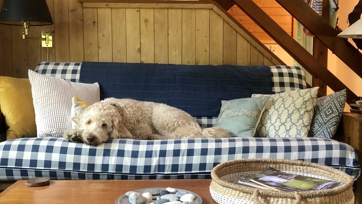 East Sandwich House | Our Pet-Friendly Cape Cod Home Away From Home