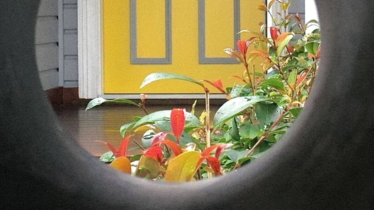 Ballina Cottage | Our Yellow Door Cottage on Crane - CENTRAL & COSY