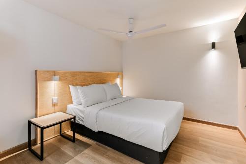 Queretaro Apartment | Pájaros By Homirent