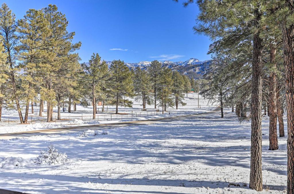 Pagosa Springs House | Pagosa Springs Gem with Yard, Decks and Mtn Views!