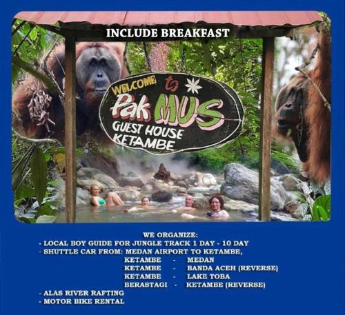 Gayo Lues House | Pak Mus Guest House Ketambe - 0813-7072-1793