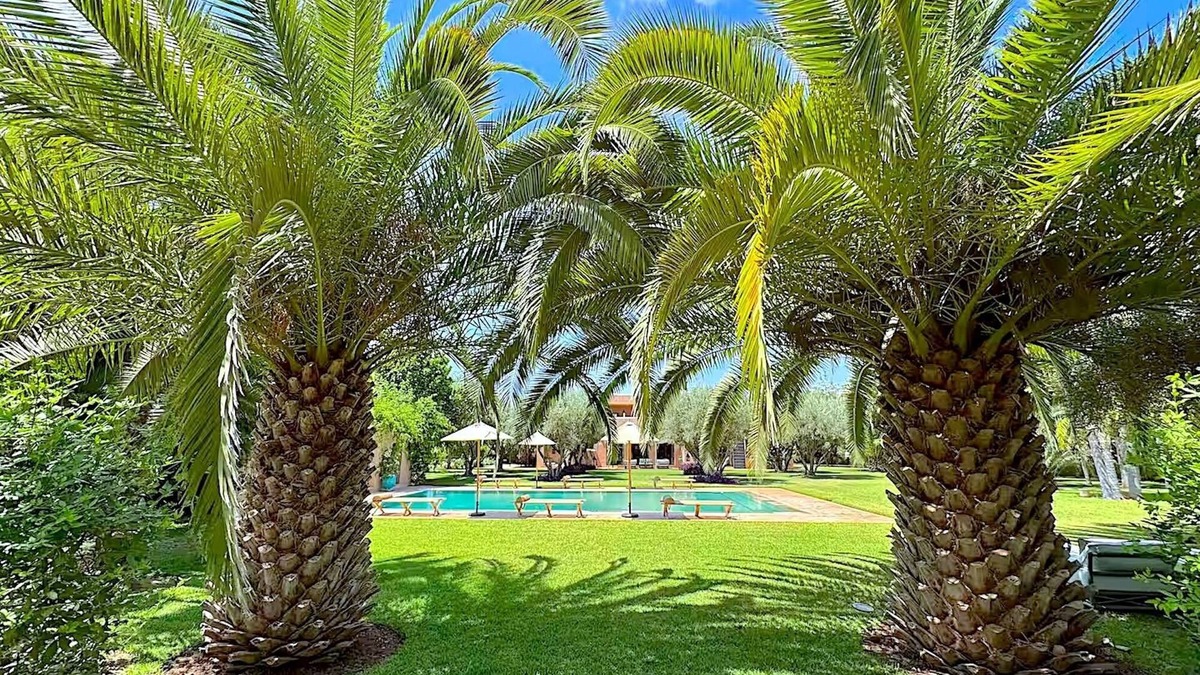 Medina Villa | Palais Danka