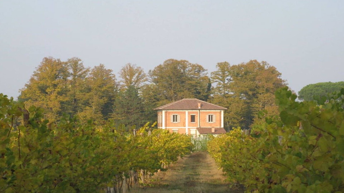 Imola House | Palazzo San Lazzaro - Guest House in a beautiful private park.