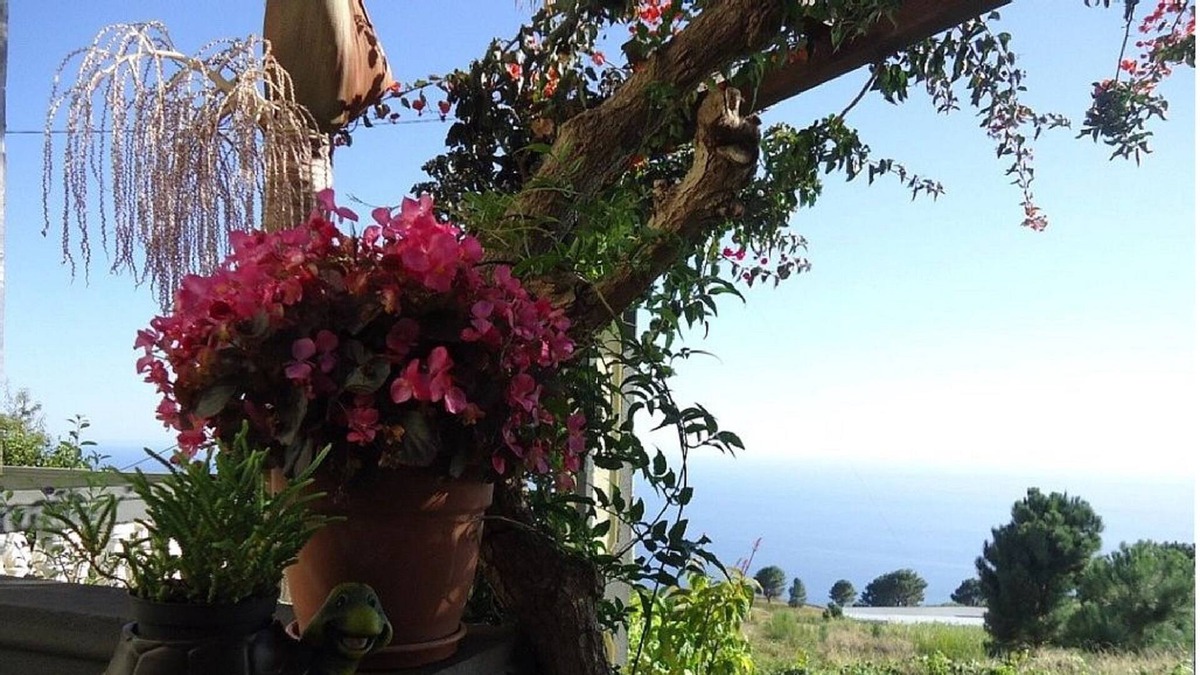 Estreito da Calheta Cottage | Palheiro Cavalinho In Madeira