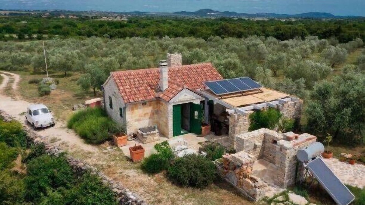 Donje Rastane House | Paljka olive garden