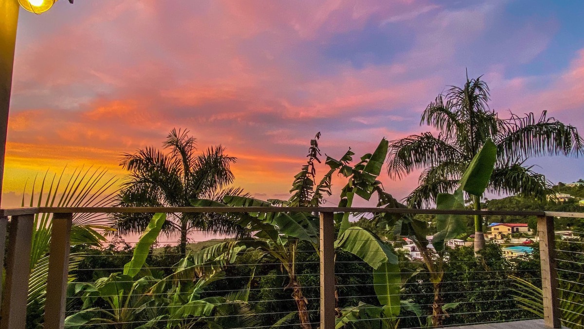 Estate Pearl Apartment | Palm Deck, a private slice of paradise overlooking the ocean