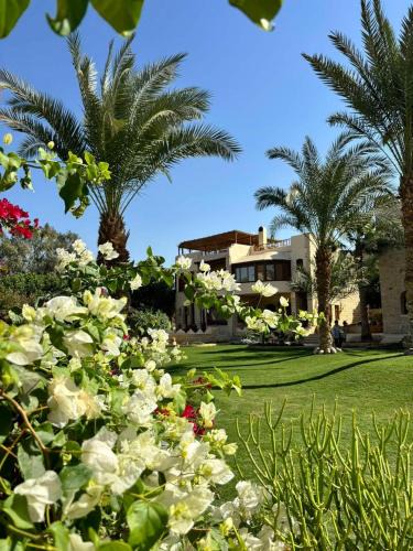 Tunis Village Hotel | palm shadow resort