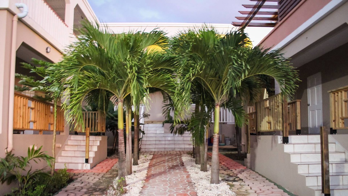Oranjestad Apartment | Palm Spring Inn