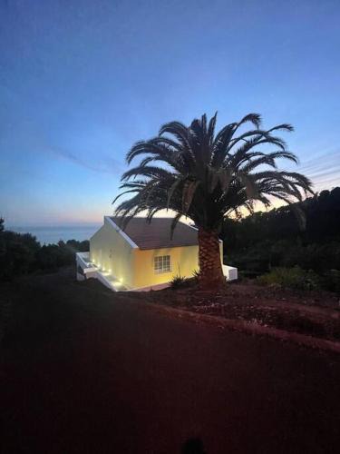 Lajes do Pico House | Palm Tree House