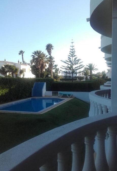 Luz Apartment | Palm Trees