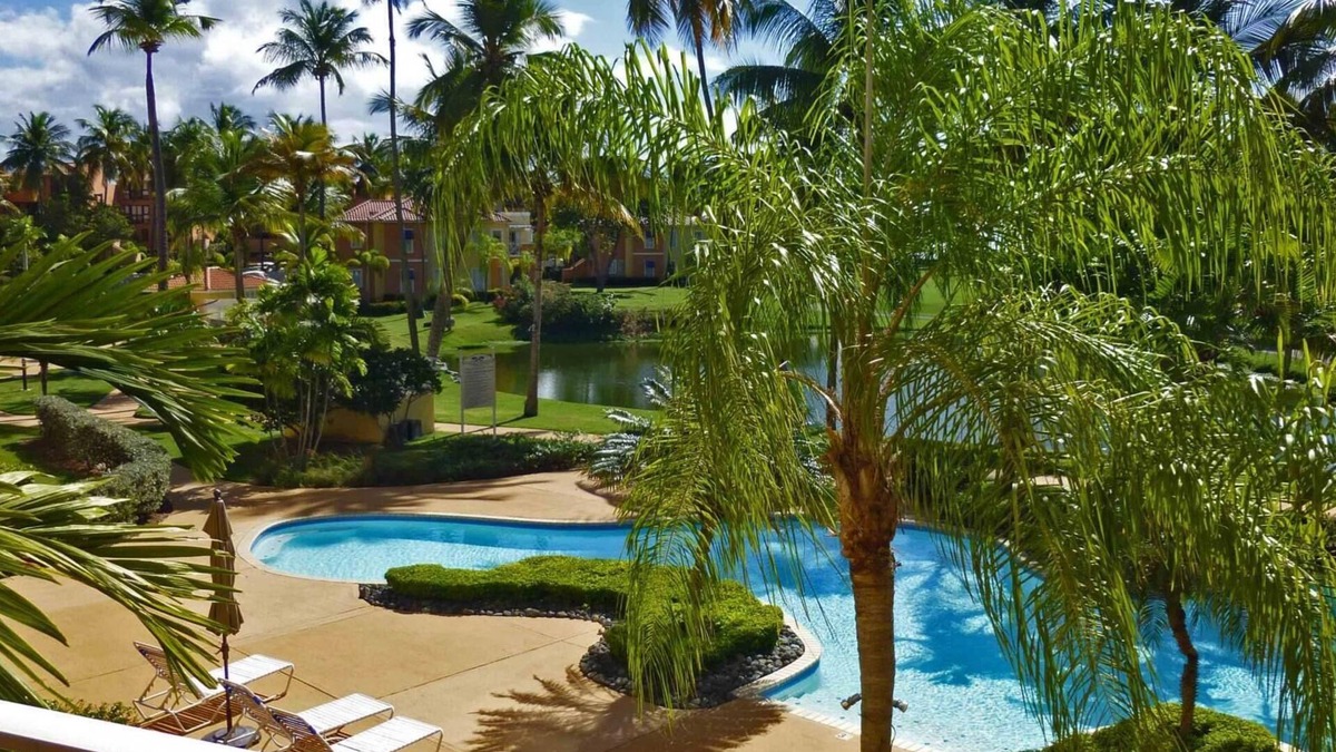 Candelero Abajo Apartment | Palm View