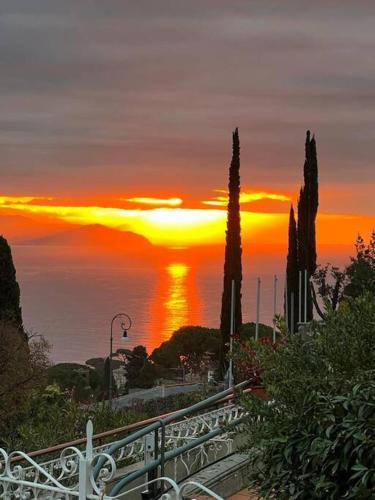 Rapallo Apartment | Palma Residence San Michele by PortofinoVacanze