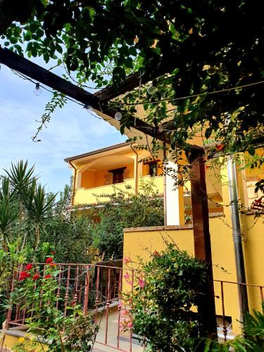 Palmas Arborea Bed & Breakfast | Palmas Anna's rooms Is Procilis