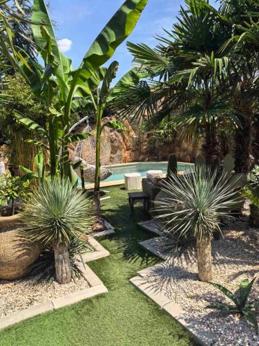 Sumadija Apartment | Palmas Garden