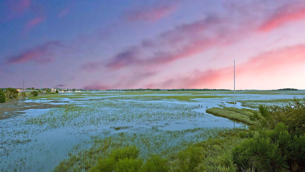 Folly Beach Condo | Palmetto Paradise! Overlooking Beautiful Marshland Sleeps 8!