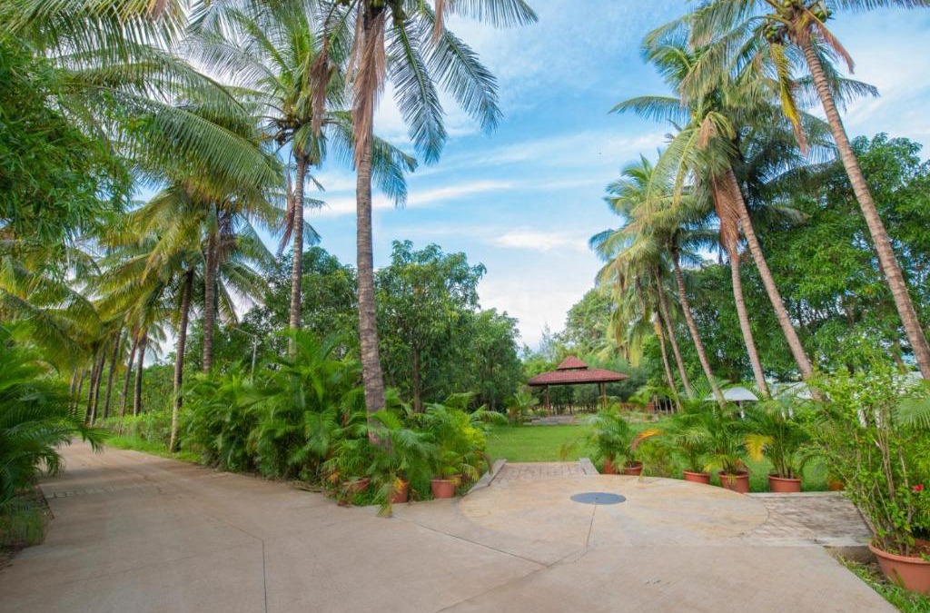 Paud Resort | Palmwoods Retreat