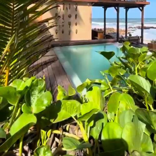 Palolem Resort | Palolem Sea view Cottages & Rooms