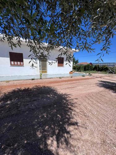 Pineios House | PANKO Suite