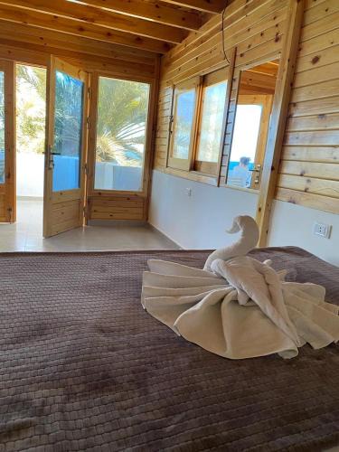 Dahab Apartment | PanoPalm