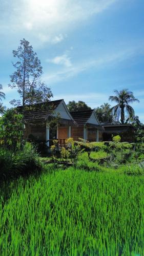 Tetebatu House | PANORAMA BUNGALOWs