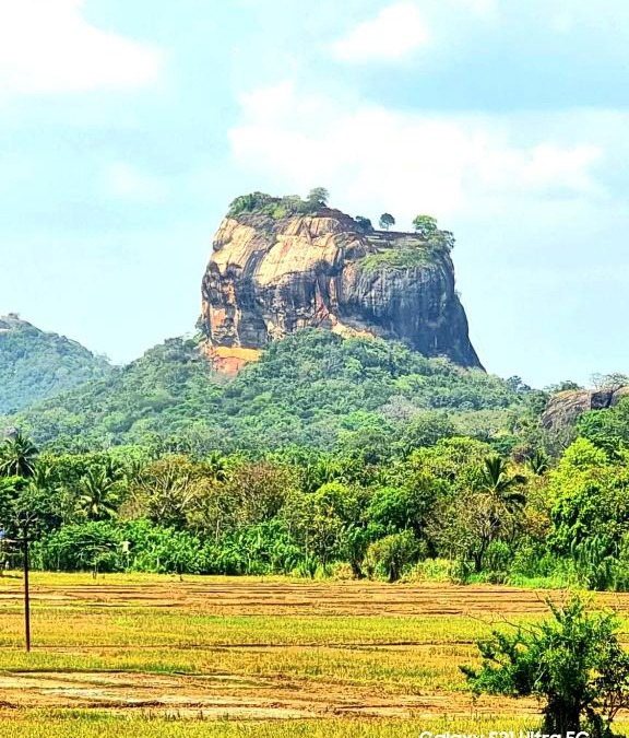 Sigiriya Hotel | Panoramic Royal Villa