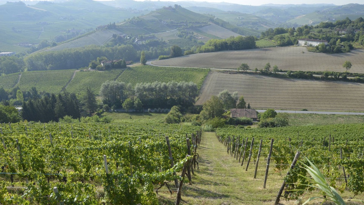 Alba Bed & Breakfast | PANORAMIC VIEW, RELAXING, BIKE, FINE-FOOD, WINE AND MORE. Bed & Breakfast in Alba