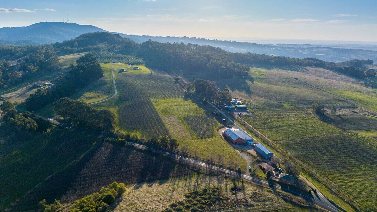 Canobolas House | Panoramic Views on Pinnacle - 3 Bedroom Farm Stay