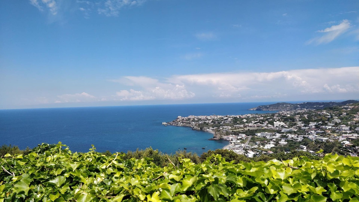 Panza Villa | Panoramic Villa Immersed in the Green houses 8 people