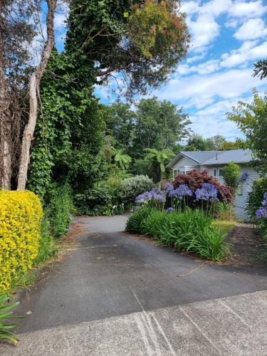New Plymouth House | Papa's place
