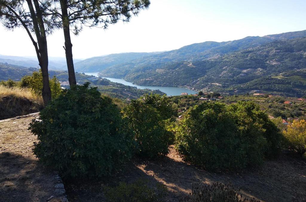 Resende Villa | Paraíso Hills - Encostas do Paraíso: tranquilidade no Douro