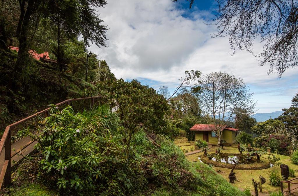 Copey Cabin | Paraíso Quetzal Lodge