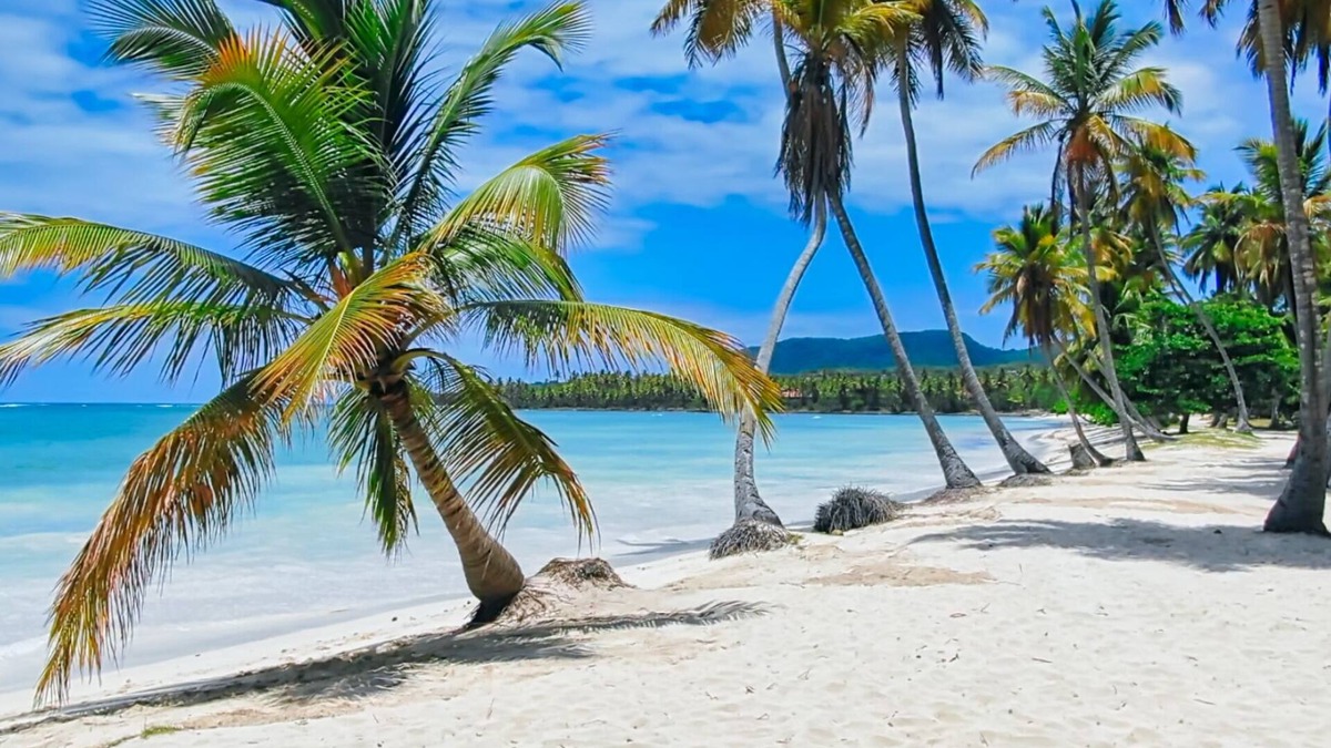 Las Galeras Hotel | Paradiso del Caribe