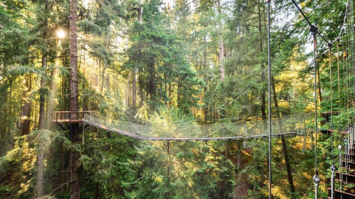 Eureka House | "Park Place" @ #RedwoodSkyWalk & Sequoia Park Zoo: 5BD*, Pool Table, Game Room, Kiva, Gas Grill!