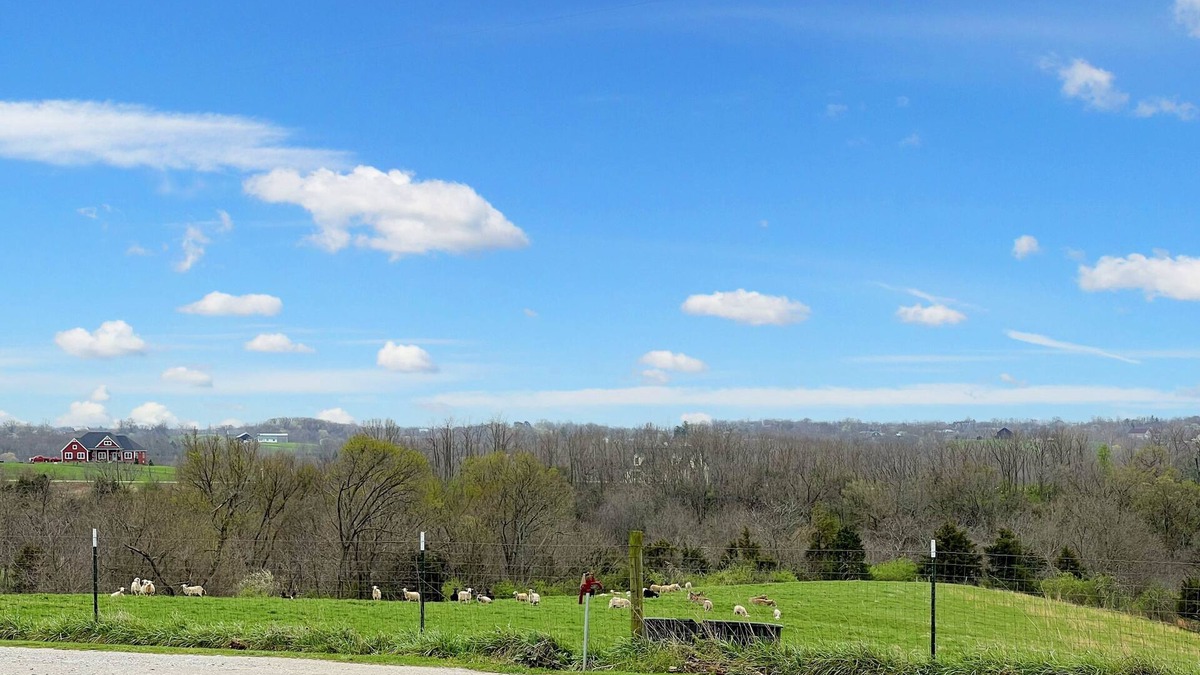 Morning View Other | Pastoral Views farmhouse, idyllic country oasis