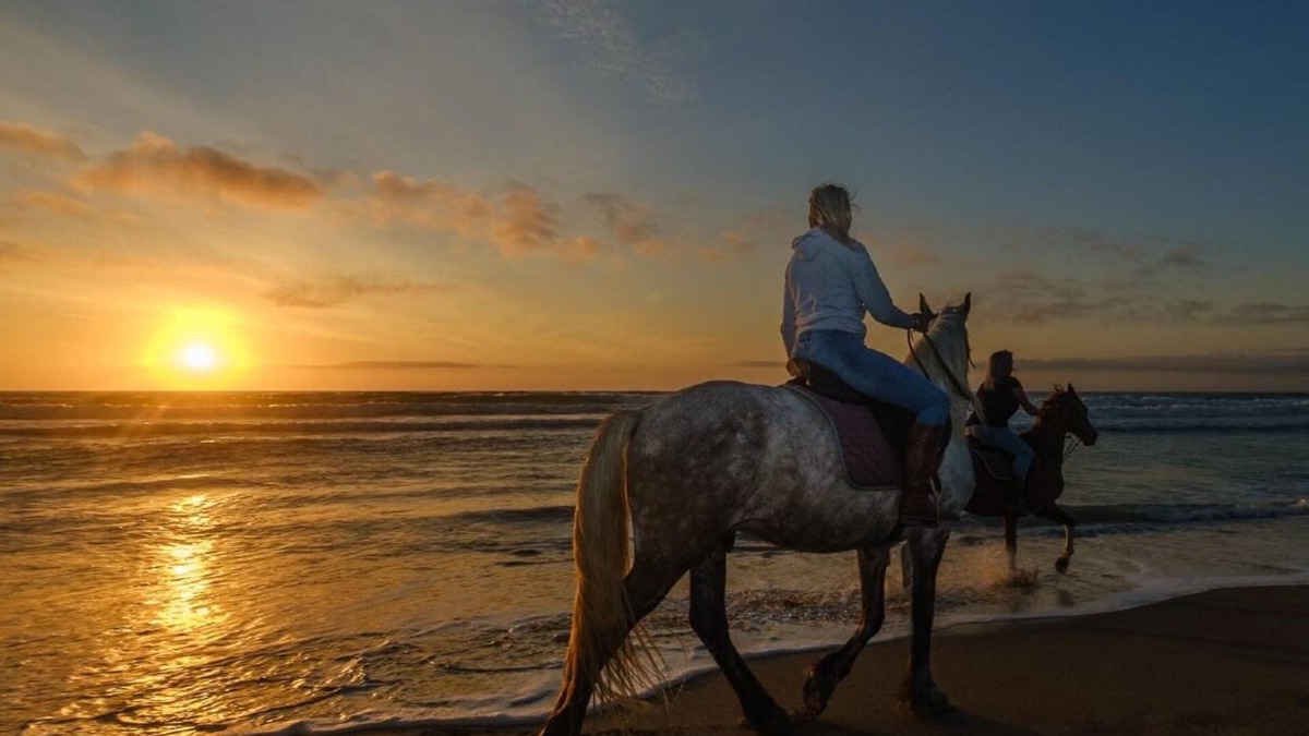Paternoster Hotel | Paternoster Hotel