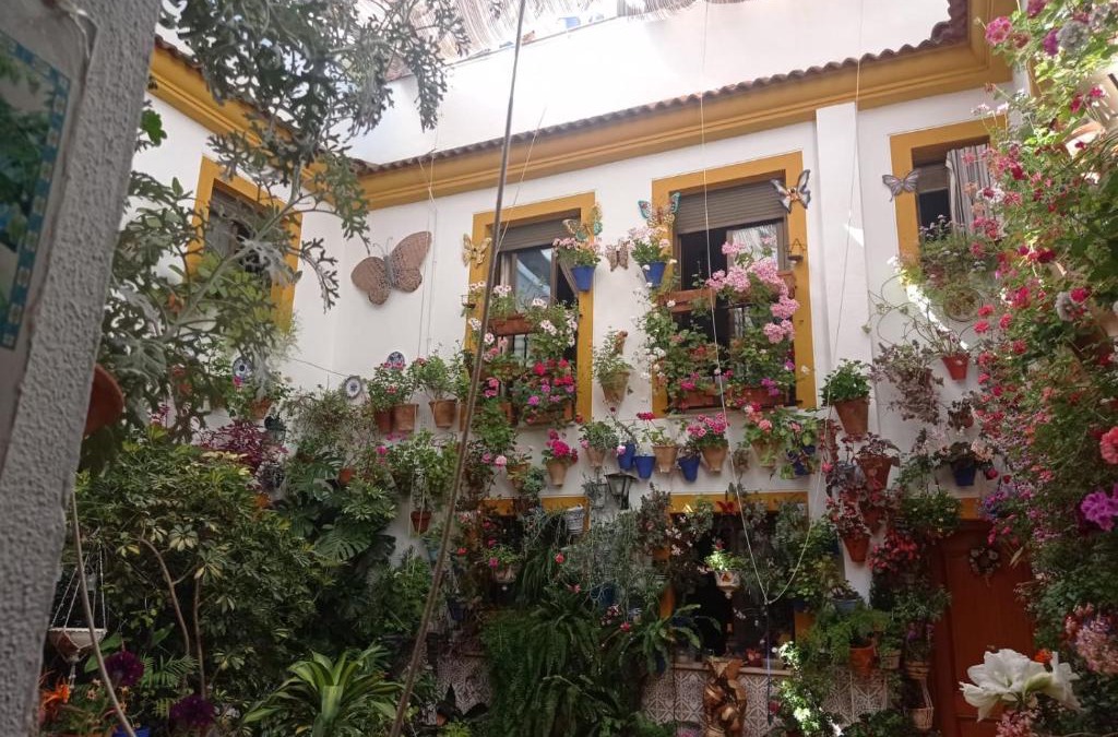 San Lorenzo House | PATIO POZANCO